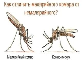 5431514577553266499.jpg